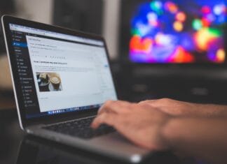 Directus 10 vs. Sanity.io – bazy treści headless